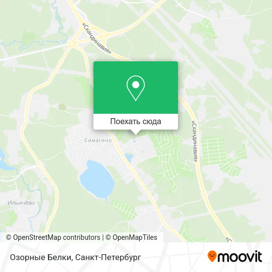 Карта Озорные Белки