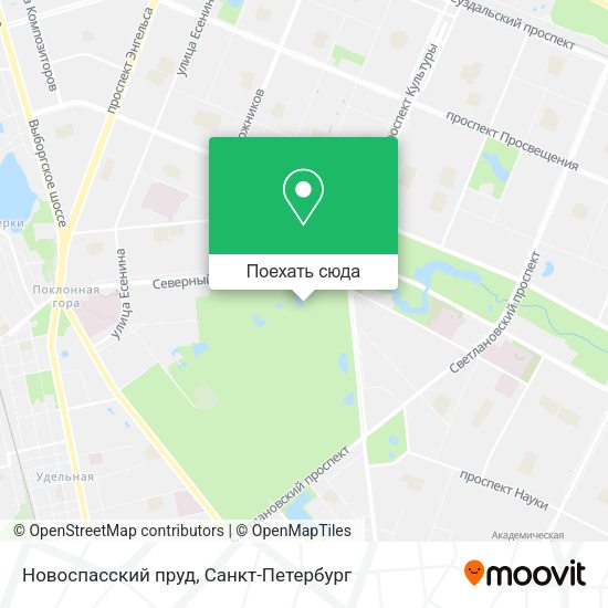 Карта Новоспасский пруд