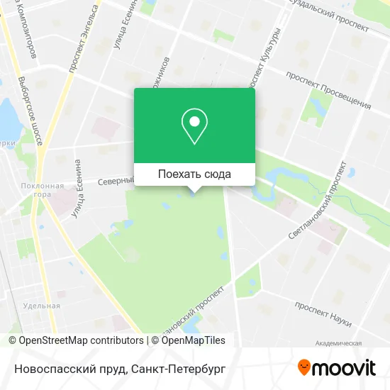 Карта Новоспасский пруд