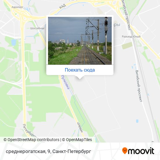 Карта среднерогатская, 9