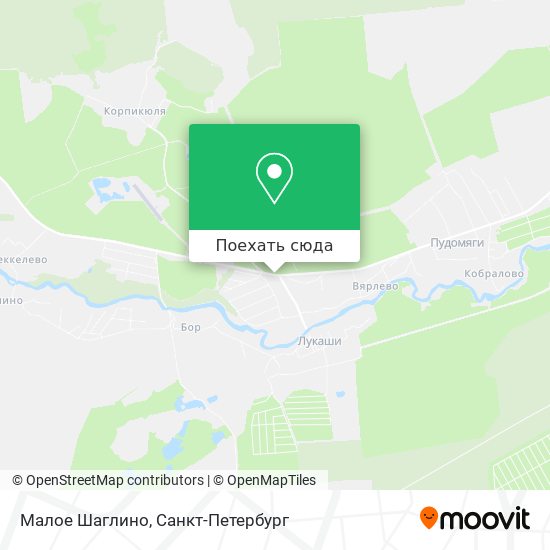 Карта Малое Шаглино