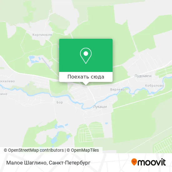 Карта Малое Шаглино