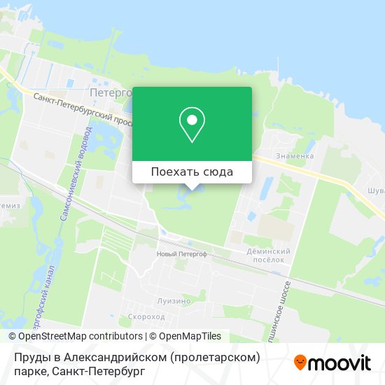Карта Пруды в Александрийском (пролетарском) парке