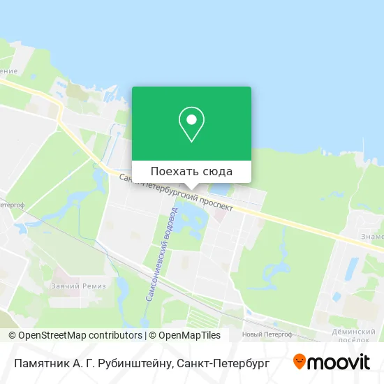 Карта Памятник А. Г. Рубинштейну
