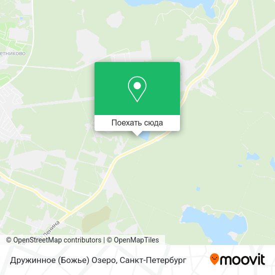 Карта Дружинное (Божье) Озеро