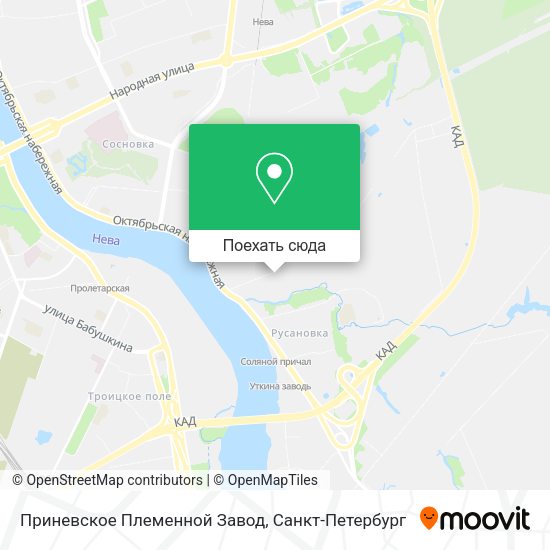 Карта Приневское Племенной Завод