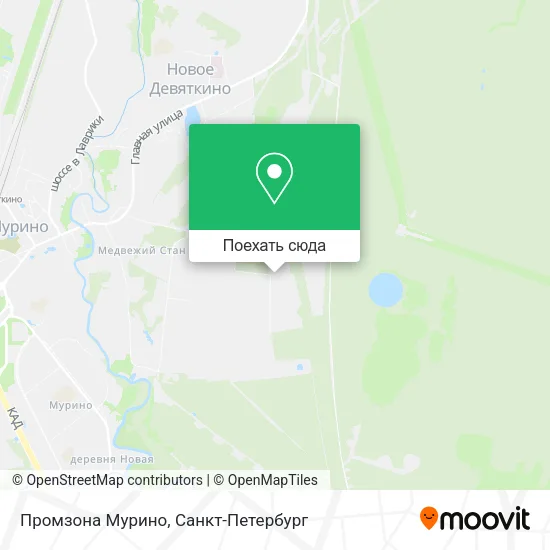 Карта Промзона Мурино