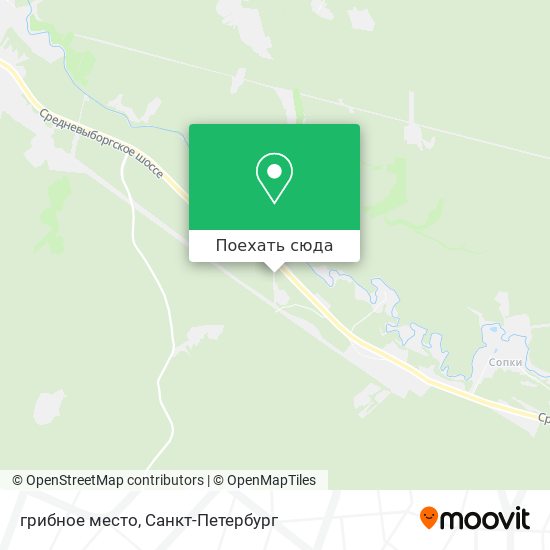 Карта грибное место
