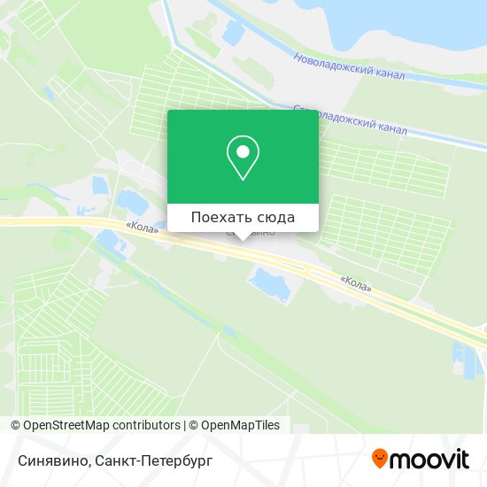 Карта Синявино
