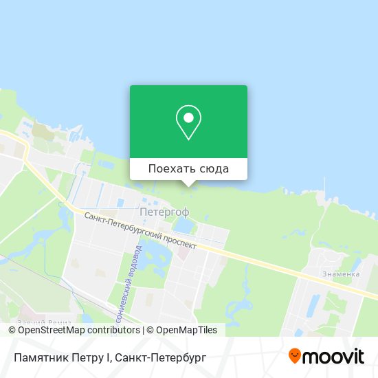 Карта Памятник Петру I