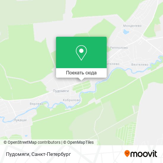 Карта Пудомяги