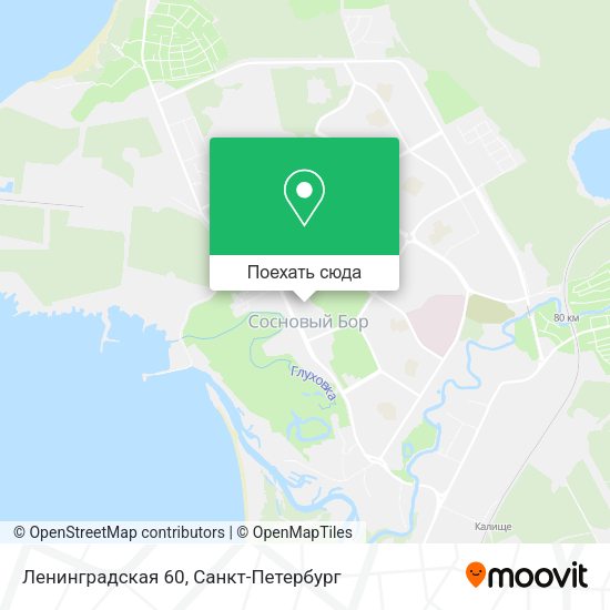 Карта Ленинградская 60