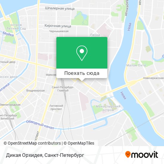 Карта Дикая Орхидея