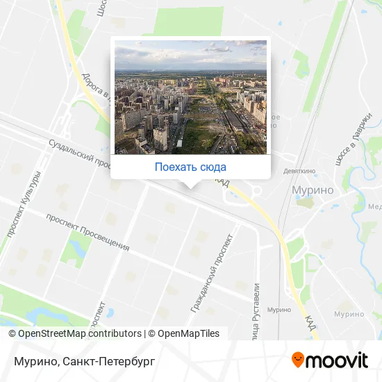 Карта Мурино