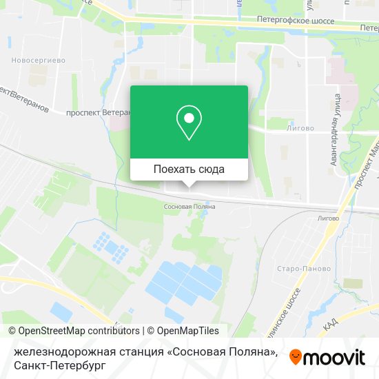 Карта железнодорожная станция «Сосновая Поляна»