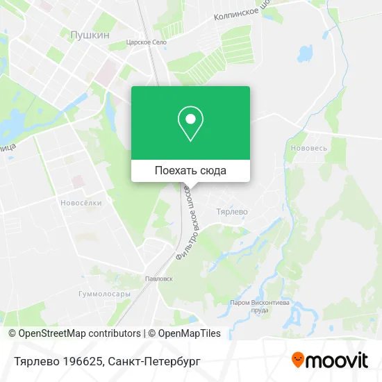 Карта Тярлево 196625