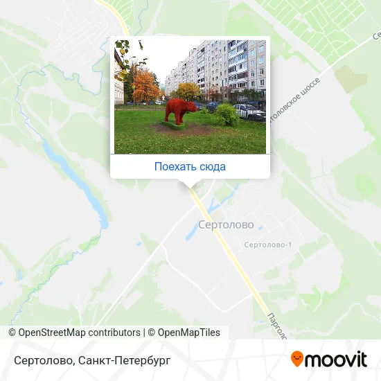 Карта Сертолово