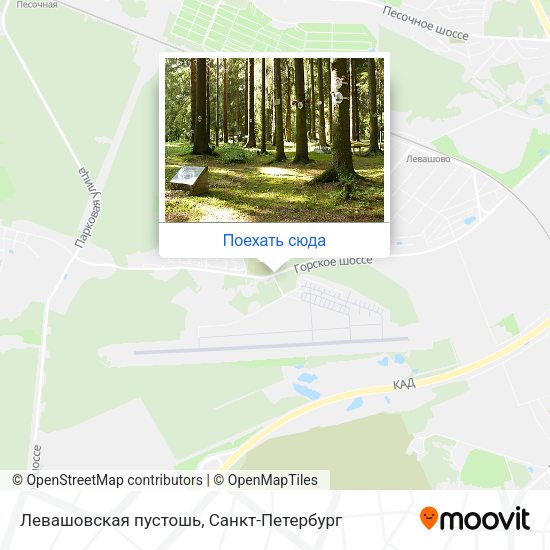 Карта Левашовская пустошь