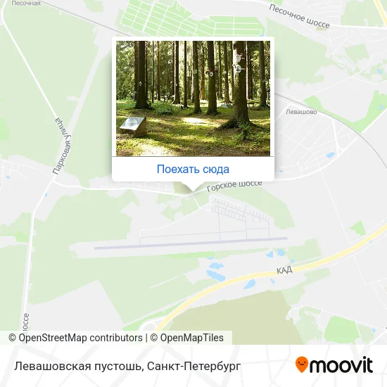 Карта Левашовская пустошь