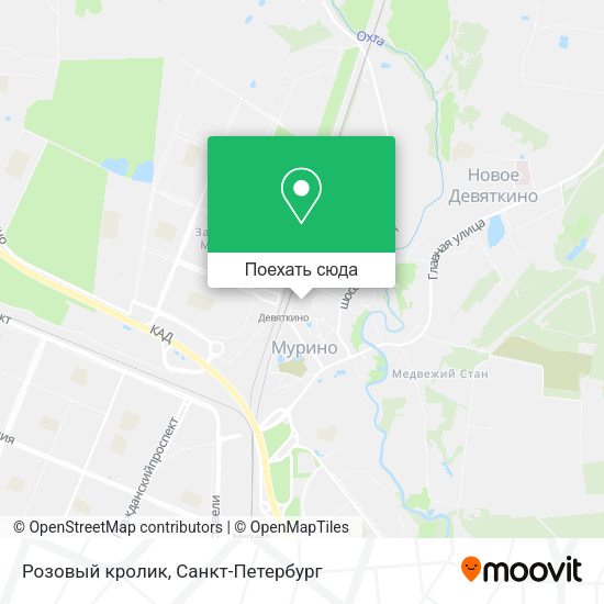 Карта Розовый кролик