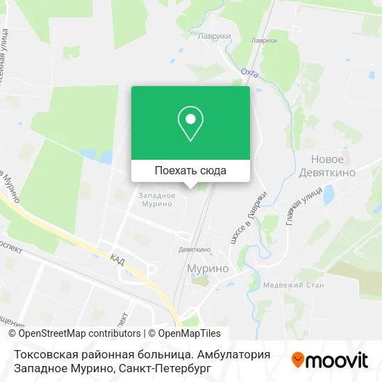 Карта Токсовская районная больница. Амбулатория Западное Мурино