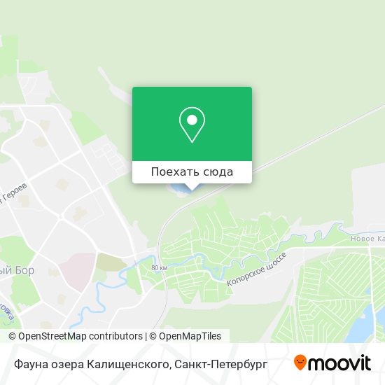 Карта Фауна озера Калищенского
