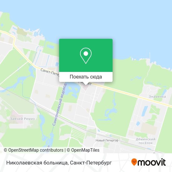 Карта Николаевская больница