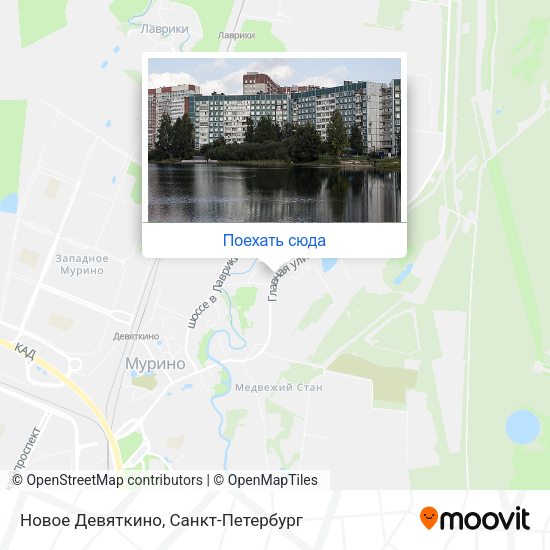 Карта Новое Девяткино