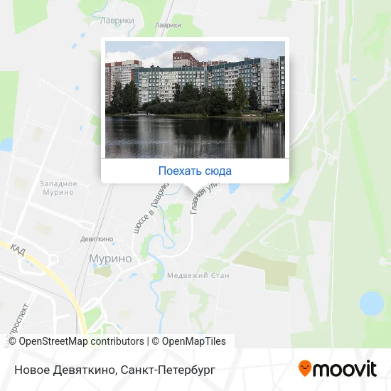 Карта Новое Девяткино