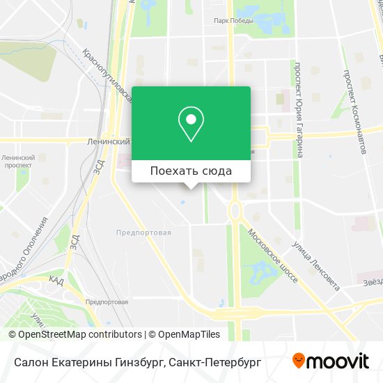 Карта Салон Екатерины Гинзбург