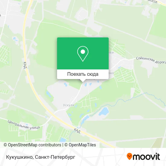 Карта Кукушкино