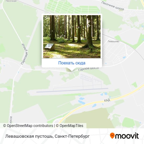 Карта Левашовская пустошь