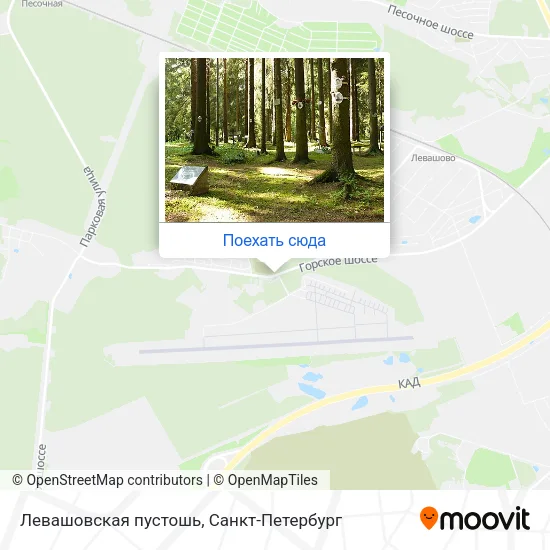Карта Левашовская пустошь