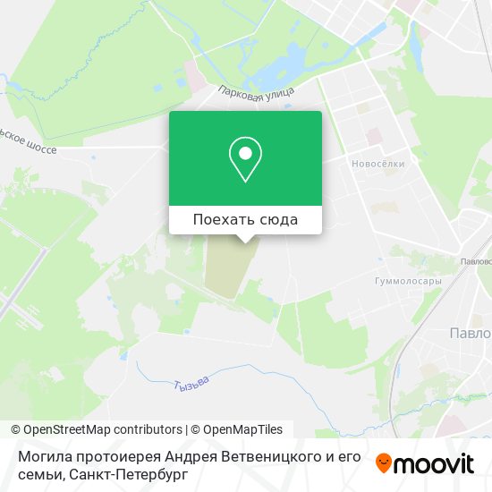 Карта Могила протоиерея Андрея Ветвеницкого и его семьи
