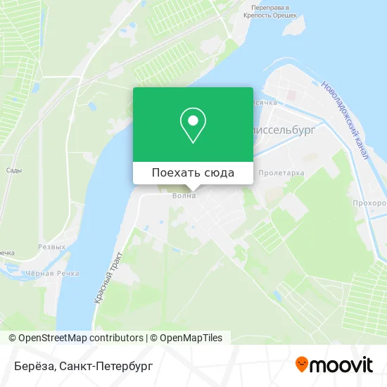 Карта Берёза