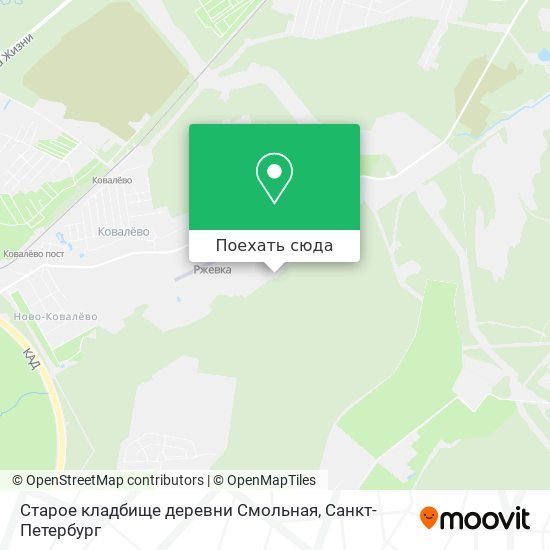Карта Старое кладбище деревни Смольная