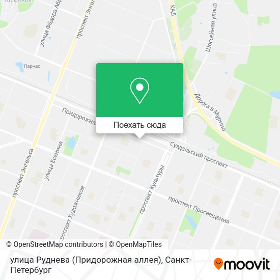 Карта улица Руднева (Придорожная аллея)