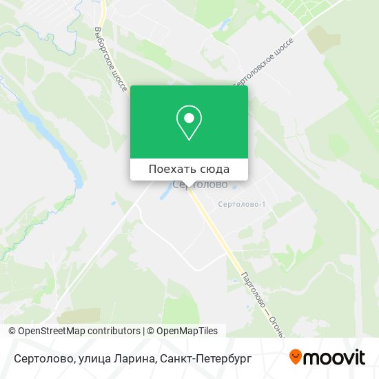 Карта Сертолово, улица Ларина