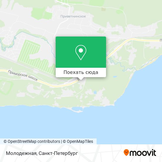 Карта Молодежная