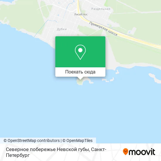 Карта Северное побережье Невской губы