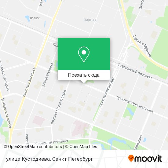 Карта улица Кустодиева