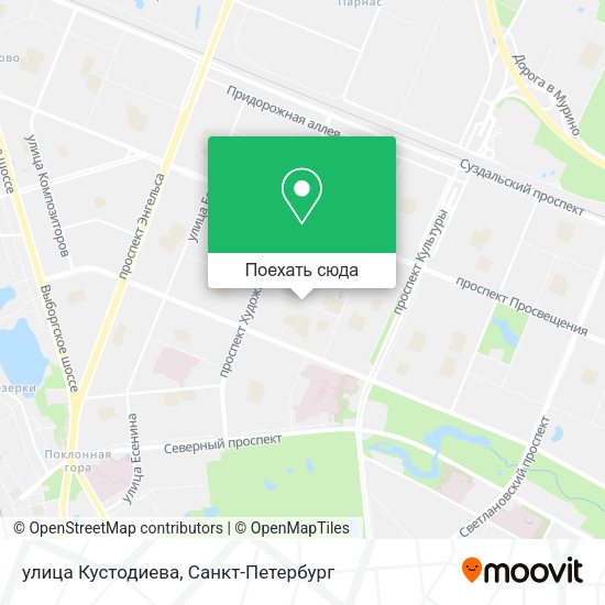 Карта улица Кустодиева