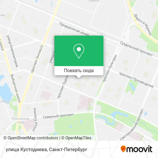 Карта улица Кустодиева