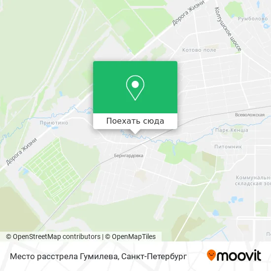 Карта Место расстрела Гумилева
