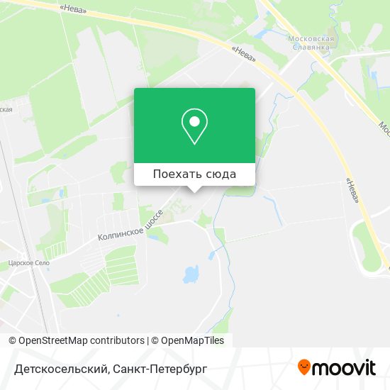 Карта Детскосельский