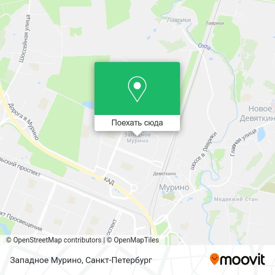 Карта Западное Мурино