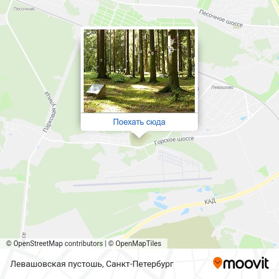 Карта Левашовская пустошь