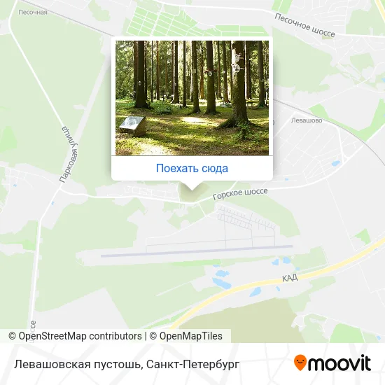 Карта Левашовская пустошь