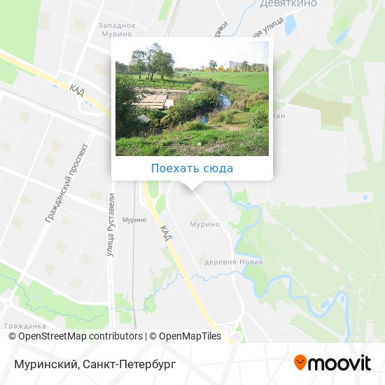 Карта Муринский