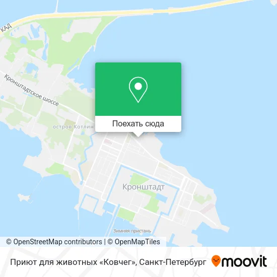 Карта Приют для животных «Ковчег»